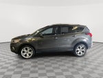 2019 Ford Escape Tit Titanium